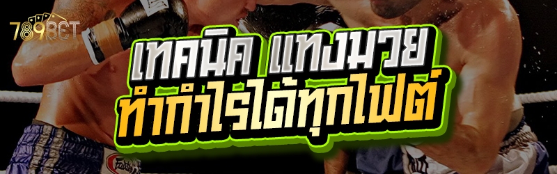 เทคนิค แทงมวย ทำกำไรได้ทุกไฟต์ 