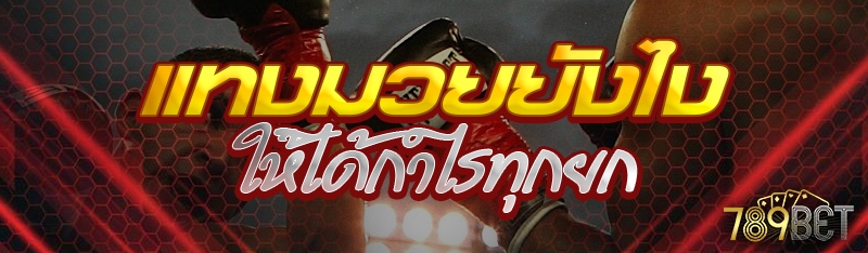 แทงมวยยังไงให้ได้กำไรทุกยก